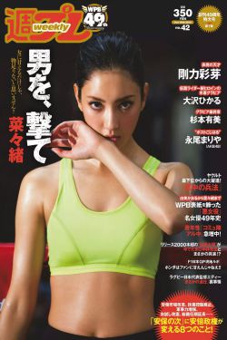 新女驸马演员表介绍